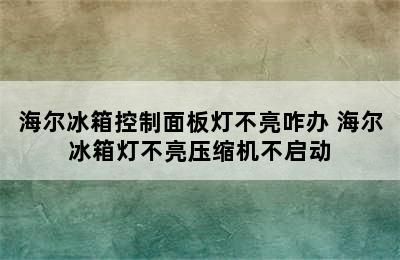 海尔冰箱控制面板灯不亮咋办 海尔冰箱灯不亮压缩机不启动